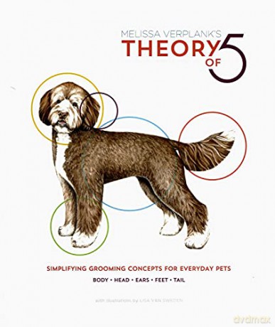 Theory Of 5 - Melissa Verplank [KSIĄŻKA]