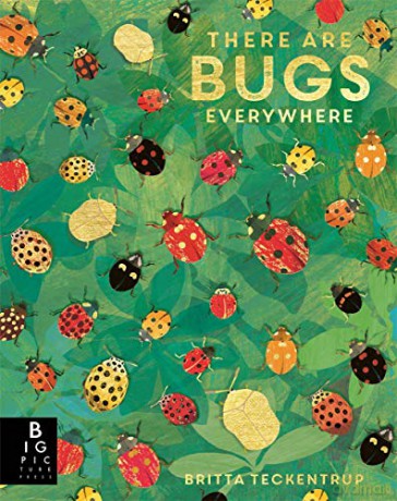 There are Bugs Everywhere - Lily Murray [KSIĄŻKA]