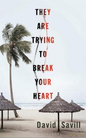 They are Trying to Break Your Heart - David Savill [KSIĄŻKA]