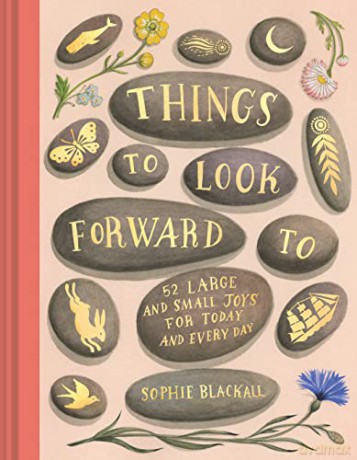 Things to Look Forward To: 52 Large and Small Joys for Today and Every Day - Sophie Blackall [KSIĄŻKA]
