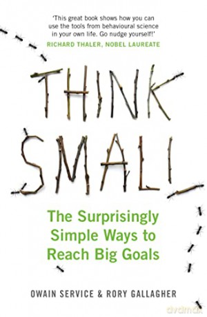 Think Small: The Surprisingly Simple Ways to Reach Big Goals - Dr Rory Gallagher [KSIĄŻKA]