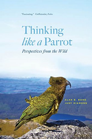 Thinking like a Parrot: Perspectives from the Wild - Judy Diamond [KSIĄŻKA]