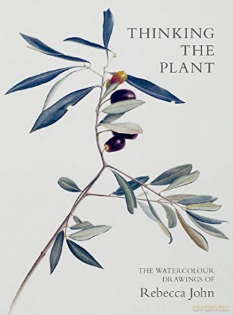 Thinking the Plant: The Watercolour Drawings of Rebecca John - Rebecca John [KSIĄŻKA]