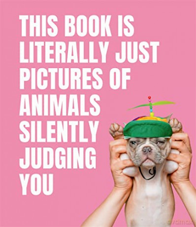 This Book is Literally Just Pictures of Animals Silently Judging You - Smith Street Books [KSIĄŻKA]