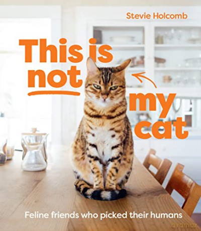 This is not my cat: Feline friends who picked their humans - Stevie Holcomb [KSIĄŻKA]