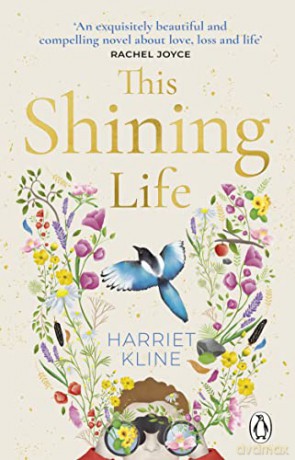 This Shining Life: A moving, powerful novel about love, loss and treasuring life - Harriet Kline [KSIĄŻKA]