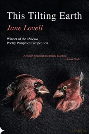This Tilting Earth - Jane Lovell [KSIĄŻKA]