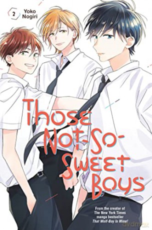 Those Not-So-Sweet Boys 2 - Yoko Nogiri [KSIĄŻKA]