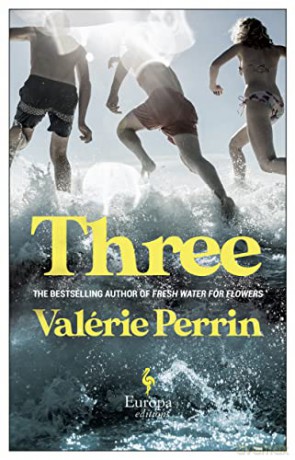 Three: The new novel by author of international sensation Fresh Water for Flowers - Valérie Perrin [KSIĄŻKA]