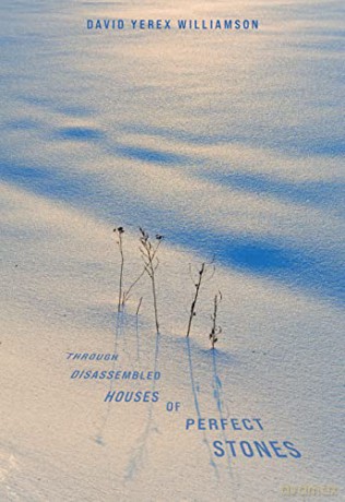 Through Disassembled Houses of Perfect Stones - David Williamson [KSIĄŻKA]