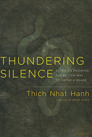 Thundering Silence: Commentaries on the Sutra on Knowing the Better Way to Catch a Snake - Thich Nhat Hanh [KSIĄŻKA]