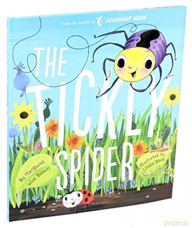 Tickly Spider (Margaret Wise Brown Classics) - Margaret Wise Brown [KSIĄŻKA]