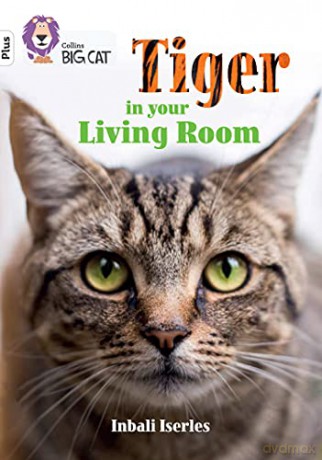 Tiger in Your Living Room: Band 10+/White Plus (Collins Big Cat) - Inbali Iserles [KSIĄŻKA]