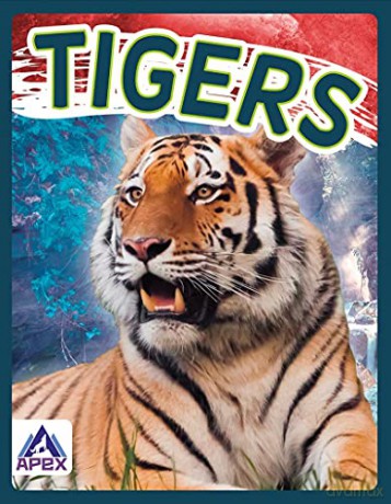 Tigers (Wild Cats) - Sophie Geister-Jones [KSIĄŻKA]