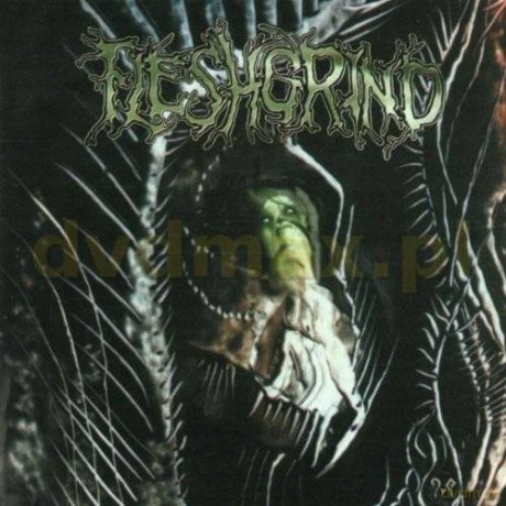 Fleshgrind: The Seeds Of Abysmal Torment [CD]