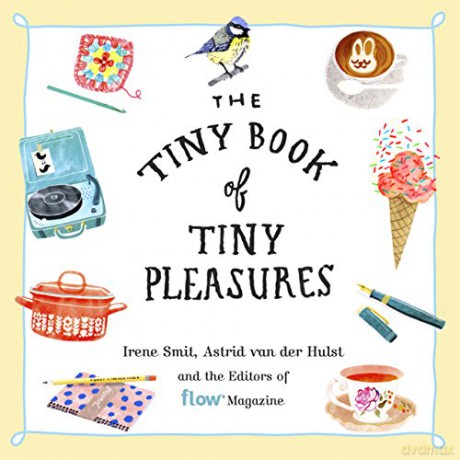 Tiny Book of Tiny Pleasures, The: 1 (Flow) - Irene Smit [KSIĄŻKA]