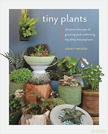 Tiny Plants: Discover the joys of growing and collecting itty-bitty houseplants - Leslie F. Halleck [KSIĄŻKA]