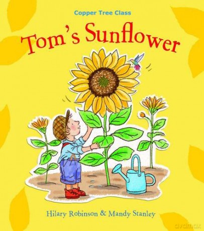 Tom's Sunflower SMSC PSHE esource. (Divorce and family break up) (The Copper Tree): 4 - Hilary Robinson [KSIĄŻKA]