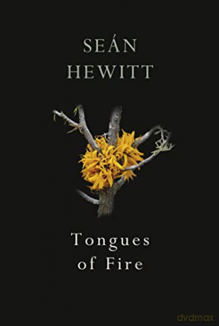 Tongues of Fire - Seán Hewitt [KOMIKS]