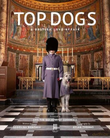 Top Dogs: A British Love Affair - Georgina Montague [KSIĄŻKA]
