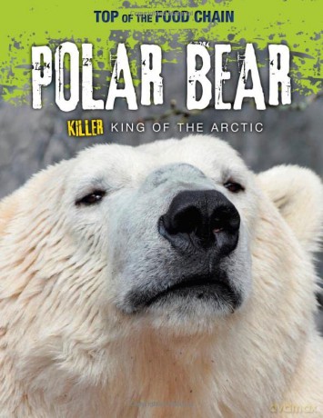 Top of the Food Chain: Polar Bear: Killer King of the Arctic - Louise Spilsbury [KSIĄŻKA]