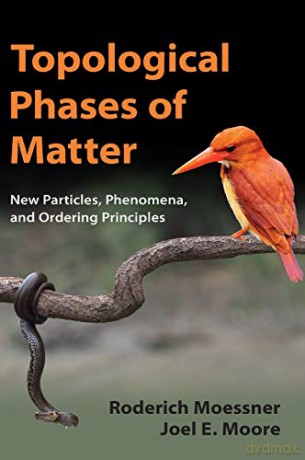 Topological Phases of Matter - Roderich Moessner [KSIĄŻKA]
