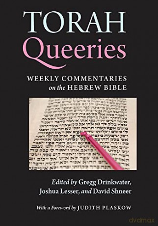 Torah Queeries: Weekly Commentaries on the Hebrew Bible - Gregg Drinkwater [KSIĄŻKA]