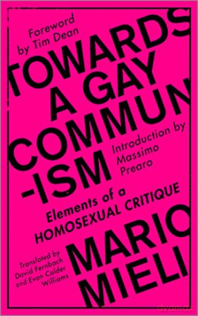 Towards a Gay Communism: Elements of a Homosexual Critique - Mario Mieli [KSIĄŻKA]