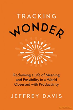 Tracking Wonder: Reclaiming a Life of Meaning and Possibility in a World Obsessed with Productivity - Jeffrey Davis [KSIĄŻKA]