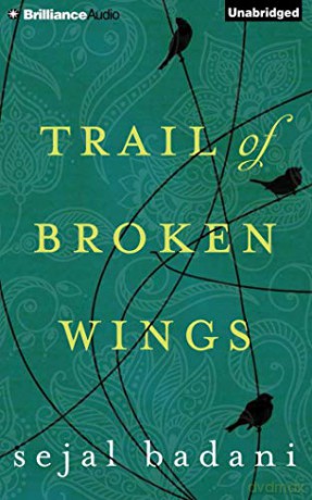 Trail of Broken Wings - Sejal Badani [KSIĄŻKA]