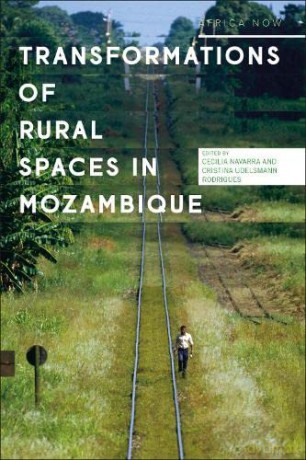 Transformations of Rural Spaces in Mozambique: Communities, Cultures and Play (Africa Now) - Cecilia Navarra [KSIĄŻKA]