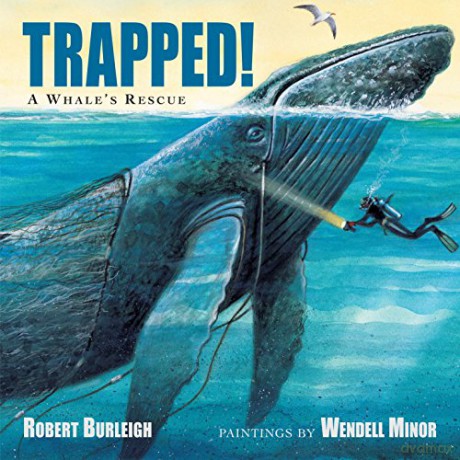 Trapped! a Whale's Rescue - Robert Burleigh [KSIĄŻKA]