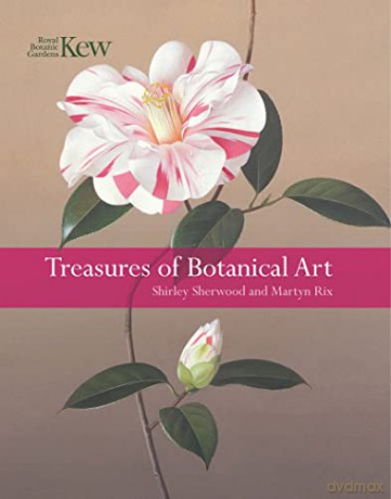 Treasures of Botanical Art - Shirley Sherwood [KSIĄŻKA]