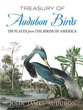Treasury of Audubon Birds: 130 Plates from The Birds of America - John James Audubon [KSIĄŻKA]