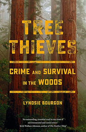 Tree Thieves: Crime and Survival in the Woods - Lyndsie Bourgon [KSIĄŻKA]