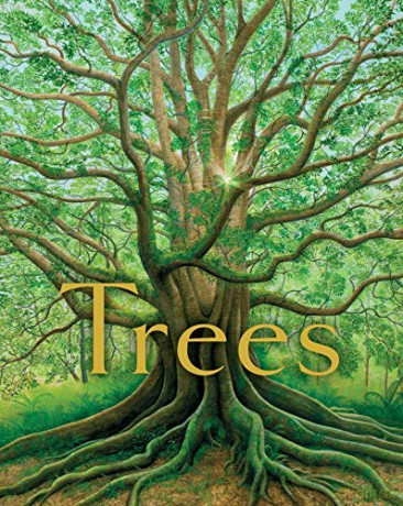 Trees - Tony Johnston [KSIĄŻKA]