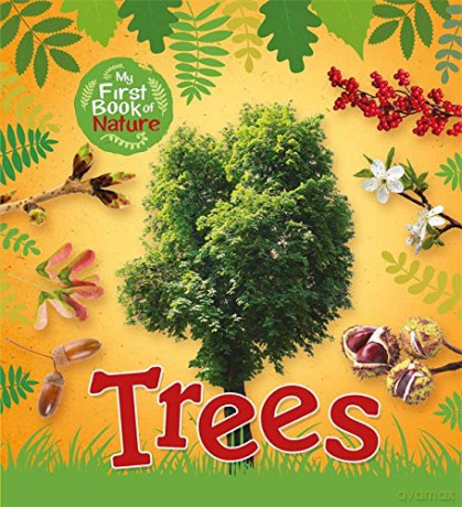 Trees - Victoria Munson [KSIĄŻKA]
