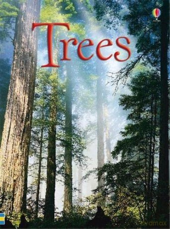 Trees (Beginners) - Lisa Jane Gillespie [KSIĄŻKA]