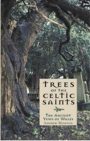 Trees of the Celtic Saints  The Ancient Yews of Wales - Andrew Morton [KSIĄŻKA]