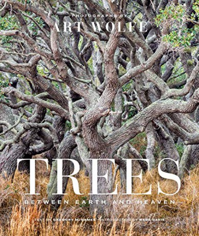 Trees: Between Earth and Heaven - Art Wolfe [KSIĄŻKA]