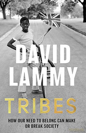 Tribes: A Search for Belonging in a Divided Society - David Lammy [KSIĄŻKA]
