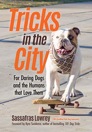 Tricks in the City: For Daring Dogs and the Humans that Love Them (Trick Dog Training Book, Exercise Your Dog) - Sassafras Lowrey [KSIĄŻKA]