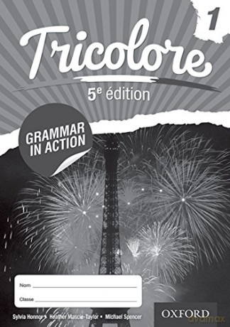Tricolore Grammar in Action 1 (8 pack) (Tricolore 5th Edition) - Sylvia Honnor [KSIĄŻKA]
