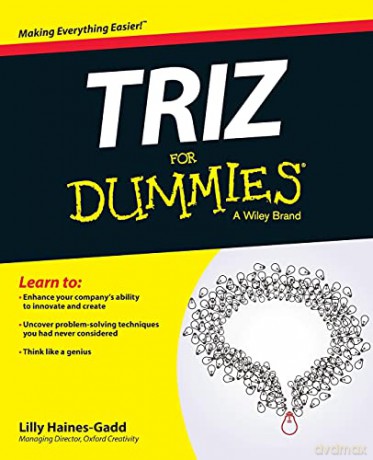 TRIZ For Dummies - Lilly Haines-Gadd [KSIĄŻKA]