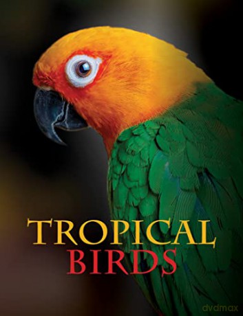 Tropical Birds (Animals) - Tom Jackson [KSIĄŻKA]