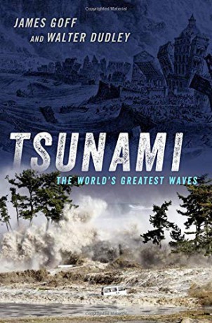 Tsunami: The World's Greatest Waves - James Goff [KSIĄŻKA]