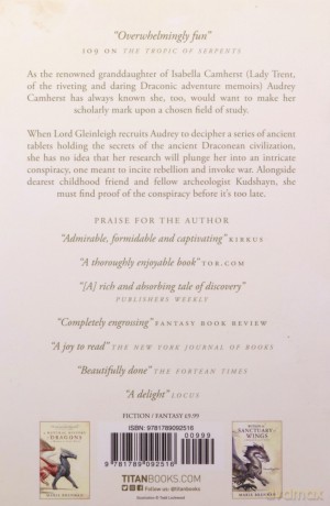 Turning Darkness into Light (A Natural History of Dragons book): 6 - Marie Brennan [KSIĄŻKA]