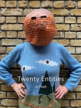 Twenty Entities - Liz Finch [KSIĄŻKA]