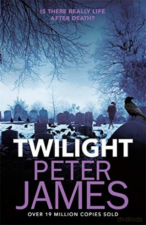 Twilight - Peter James [KSIĄŻKA]