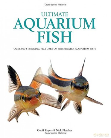 Ultimate Aquarium Fish - Nick Fletcher [KSIĄŻKA]